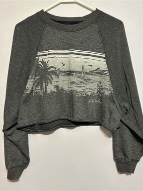 Gilly Hicks by Hollister Cropped Sweatshirt